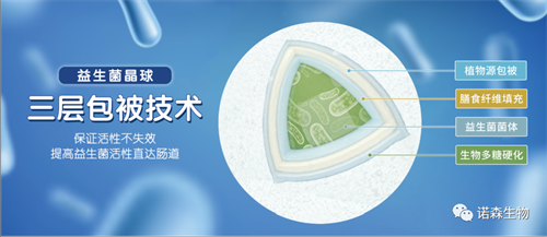 青島諾森生物 青島諾森生物